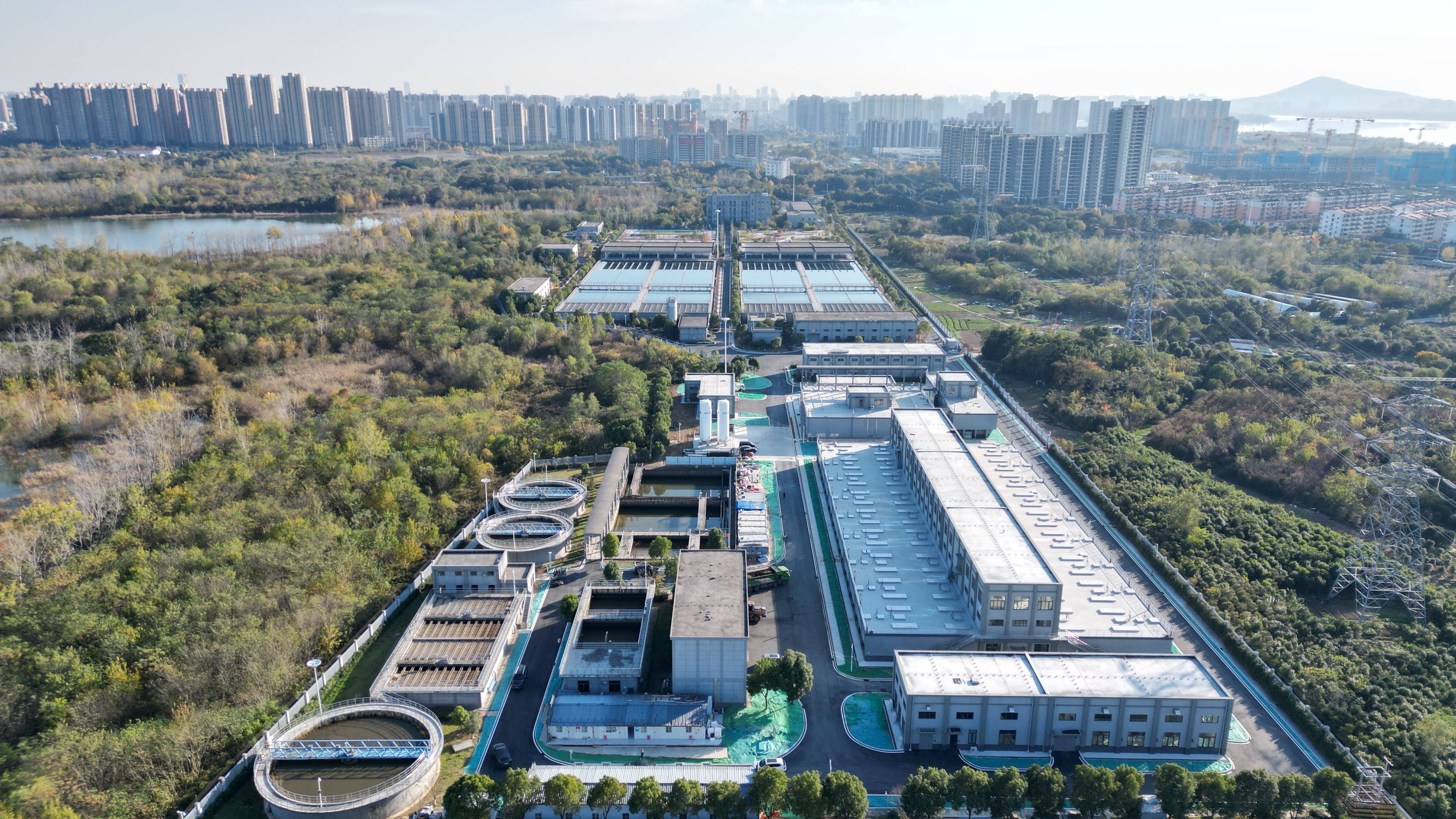 河池市合肥专业企业价值增长(合肥市重点企业产业目录)