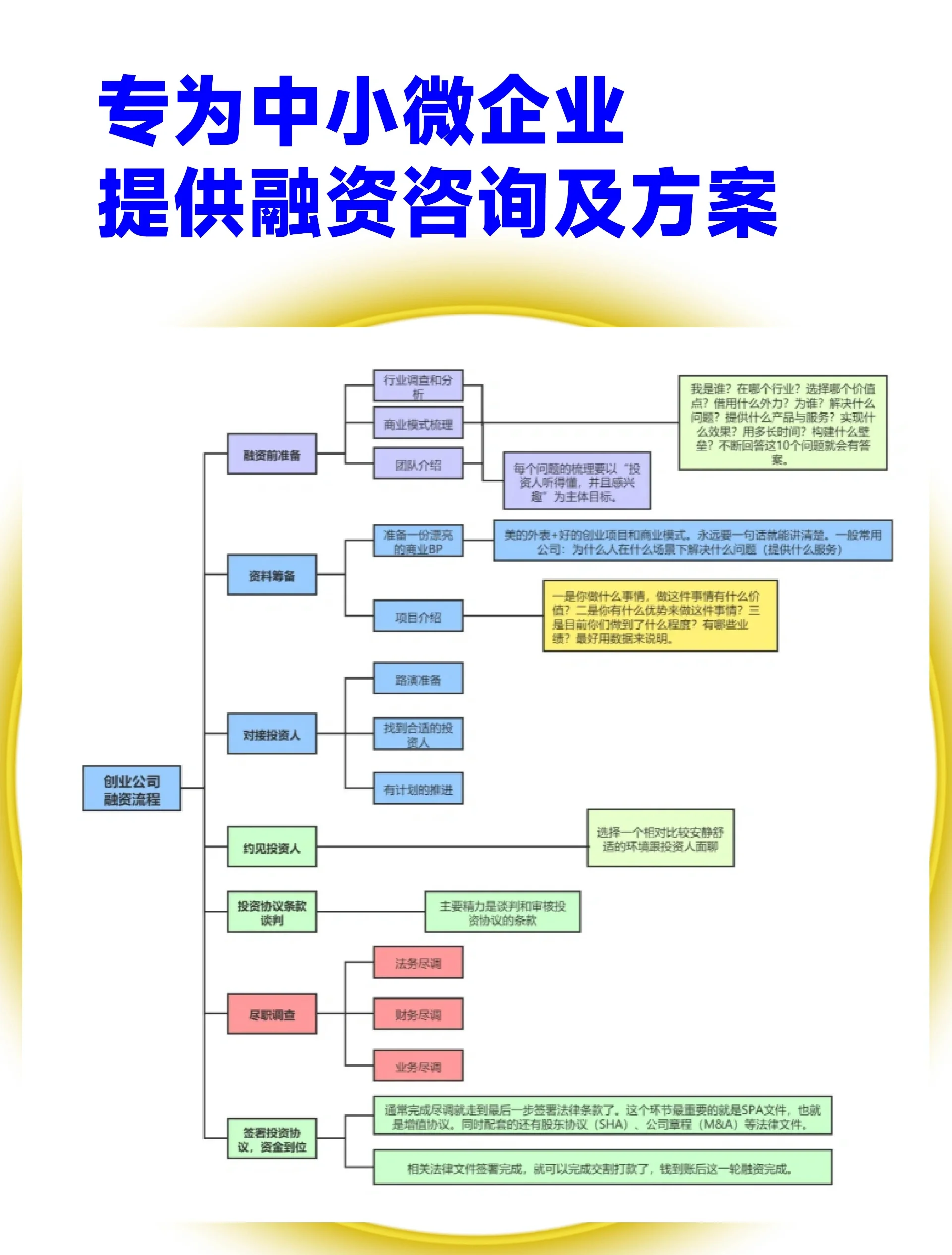 河池市宠物企业资金管理(宠物管理机构叫什么)