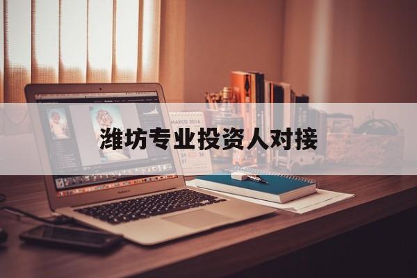 河池市潍坊专业投资人对接(潍坊专业投资人对接中心)