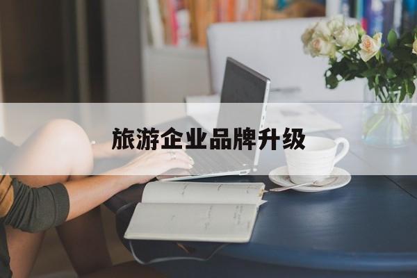 河池市旅游企业品牌升级(旅游企业品牌升级措施)