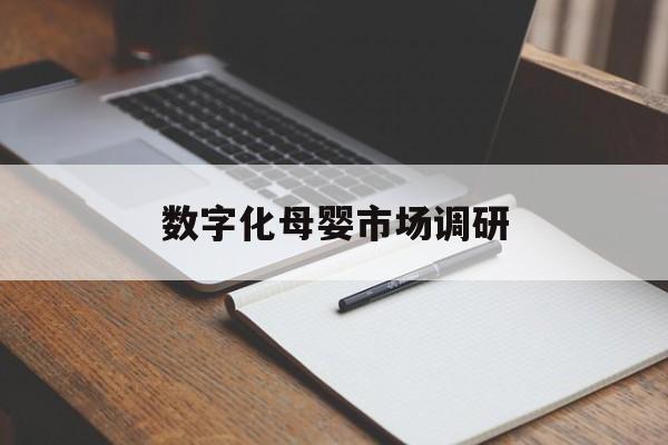 河池市数字化母婴市场调研(数字化母婴市场调研报告)